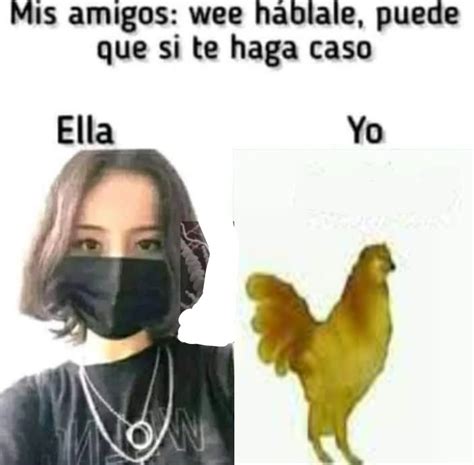 memes de la gallina|gallina me gustan meme.